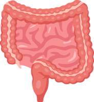 surgical-oncologist-in-lucknow